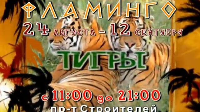 РЕКЛАМА - ЗООпарк ФЛАМИНГО смотреть онлайн