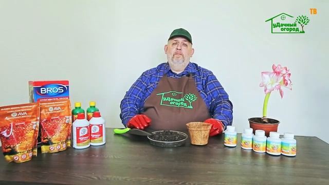 Как повысить всхожесть семян? Внося весеннее удобрение! смотреть онлайн