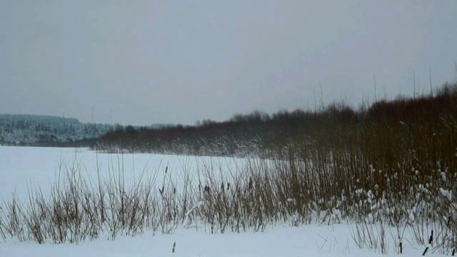 Болен Рыбалкой №257 - Где же ты, удача? смотреть онлайн