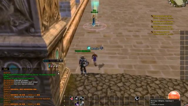 Runes Of Magic Руны Магии  Моя первая ММО №2