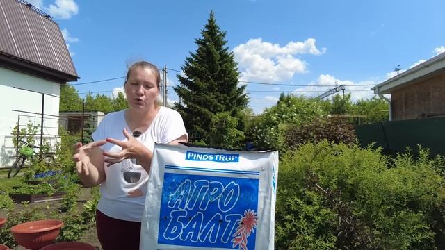 Хотите увидеть сумасшедшее цветение петуний - не экономьте на грунте. Посадка петунии в кашпо! смотреть онлайн