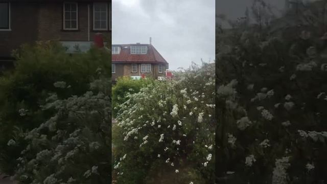Воздушная тревога, Амерсфорт, Нидерланды смотреть онлайн