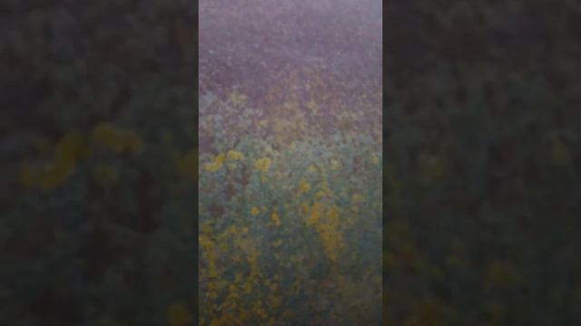 1 2 3 часть будет ещё снимаем базу смотреть онлайн