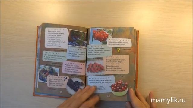 1001 загадка. Моя книжка смотреть онлайн