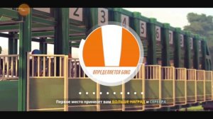 скачки на лошадях