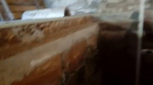 Замена датчика парктроника на F25.