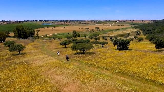 Relajación Curativa Intensa Anti Depresión, Estrés Y Ansiedad, Energía Positiva |Sueño Profundo #13