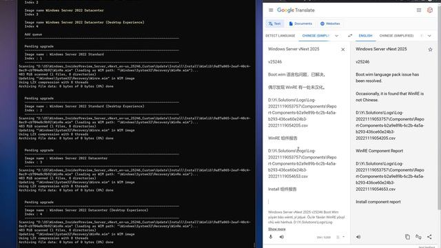 Windows Server vNext 2025 v25246 Language pack issue смотреть онлайн