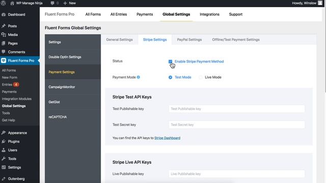 How to Accept Credit Card payments on Website - Stripe Payment Setup in WordPress | WP Fluent Forms смотреть онлайн