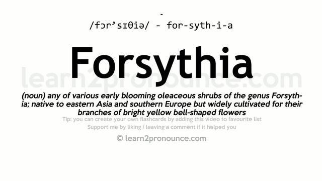 Pronunciation of Forsythia | Definition of Forsythia смотреть онлайн