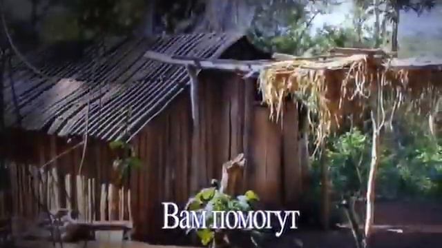 Mate Book - книга Мате - Бен Челеро смотреть онлайн