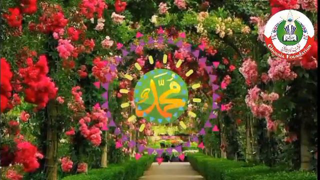 Surah Yaseen| Ghashiya | Surah Mulk | Epi 115 Daily #Quran #tilawat | beautiful recitation смотреть онлайн