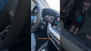 Чем отличается КИТАЙСКАЯ Skoda Octavia от РОССИЙСКОЙ? Обзор!