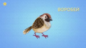 Зоопарк для детей, мультики про животных для малышей, обучающие видео с животными.