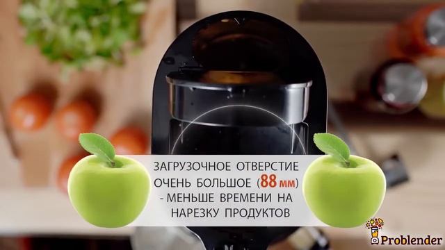 Коммерческая шнековая соковыжималка SANA HORECA смотреть онлайн