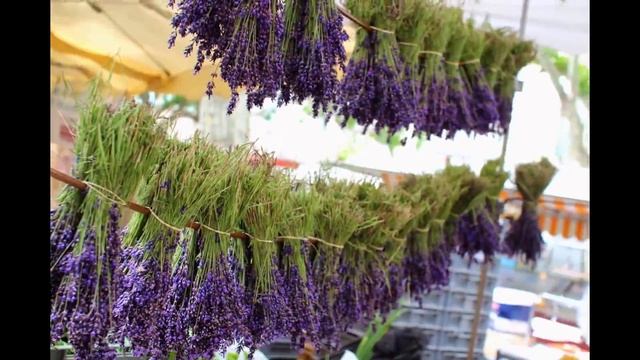 Аромат лаванды смотреть онлайн