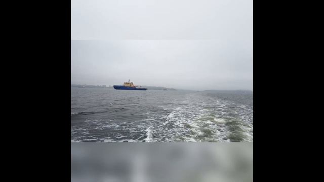В Амурском заливе смотреть онлайн