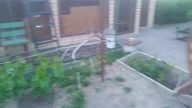 Наша дача 2.06.2019 смотреть онлайн