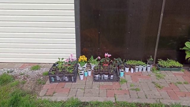 Жизнь в деревне, весна. 7 апреля. всех с праздником с Благовещением. смотреть онлайн