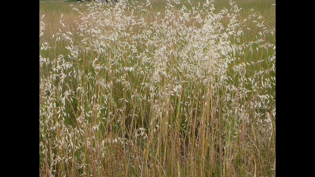 И в конце пустоты (1996, акустика) смотреть онлайн