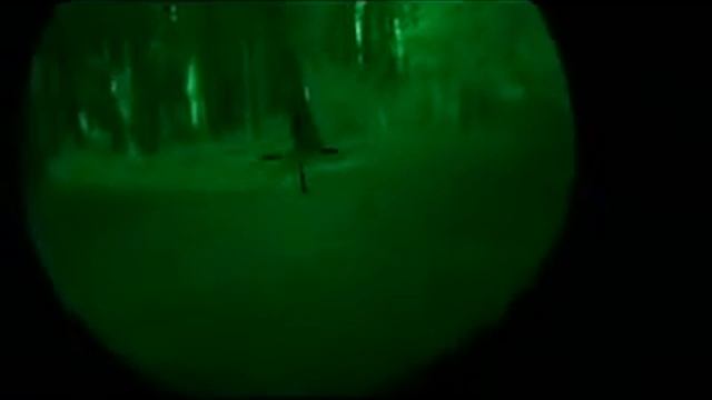 Pulsar Digisight N770a смотреть онлайн