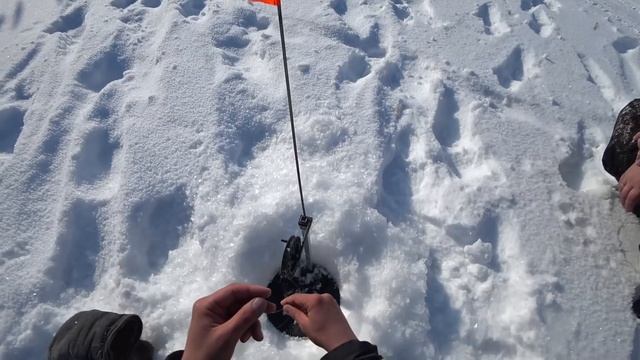 ДИКИЕ МЕСТА! РЫБЫ МНОГО! Рыбалка на жерлицы. Рыбалка 2022. смотреть онлайн