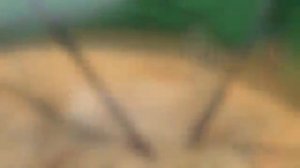 японский мини комбайн