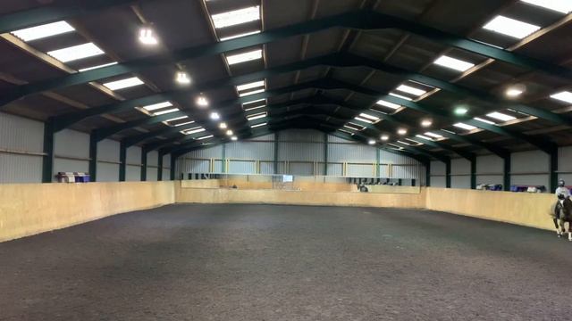Half-pass, canter pirouettes, flying changes and a Pom Pom! смотреть онлайн