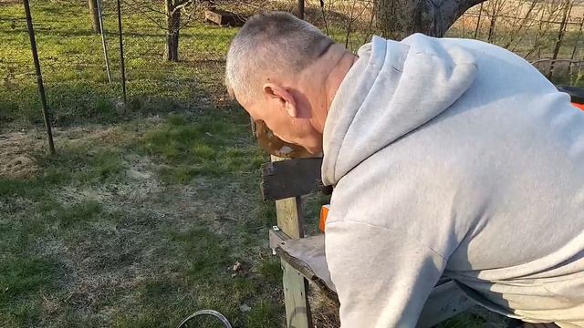 Начинаем работать фунгицидами в апреле. смотреть онлайн