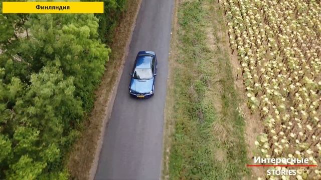 ТОП-7 Странных правил дорожного движения в мире смотреть онлайн