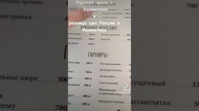 Казахстан: Русский язык.И не много о цене! смотреть онлайн