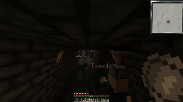 PC Minecraft - Netty's Not So Safe MoonShuie Ep 21- With Tomohawk and NettyPlays смотреть онлайн