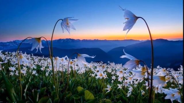 Магия любви смотреть онлайн