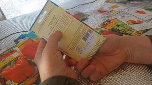 Лучшие сорта и гибриды сладкого перца для Ленинградской обл. Мой опыт!