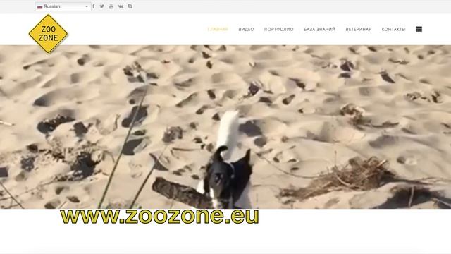 Стройка Вдохновений