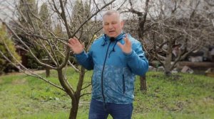 ПРИВИВКА плодовых деревьев. Зачем? Когда? Что нужно? (Полный гайд)