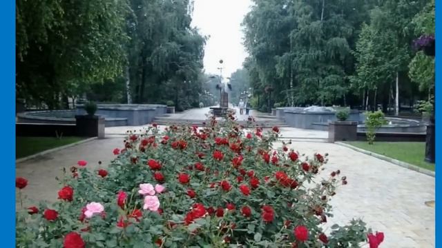 ДОНЕЦК ГОРОД РОЗ смотреть онлайн