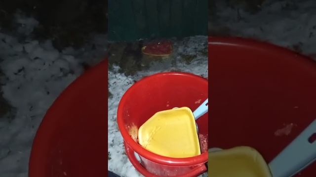 Кормлю дачных котов 27-28 марта смотреть онлайн