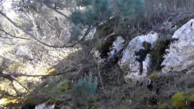 КРЫМ: Вид с горы Кара-Даг на Байдарскую долину