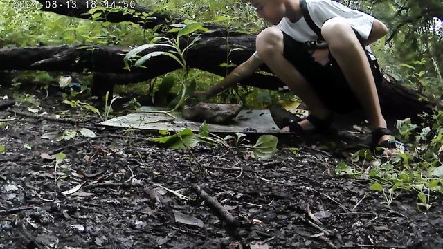 всякая хрень под прессом часть 7 смотреть онлайн