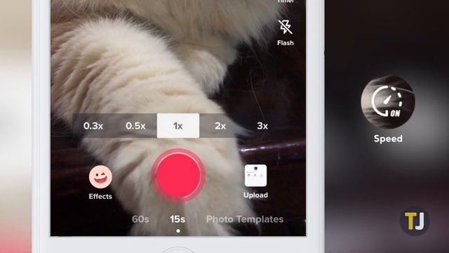 HOW TO Add the Slow-Mo Effect in TikTok! смотреть онлайн