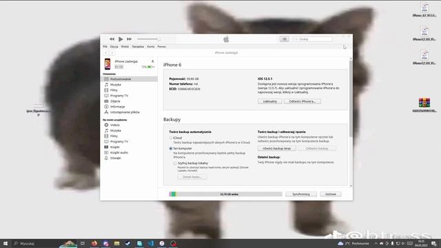 (NEW) HOW TO SIGN *ANY* IPSW FILE! WORKING 2023! (DOWNGRADE) смотреть онлайн