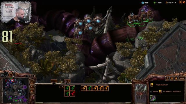 Star Craft 2 | Прокси хаты подняли мой пульс до 112 ударов в минуту #sc2 #starcraft #starcraft2