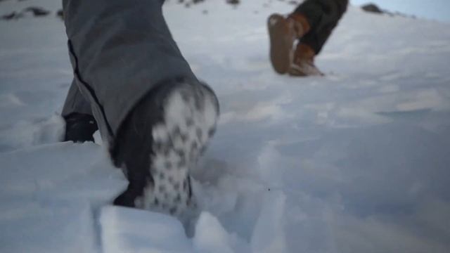 Петровец А.А. Гора двугорбая «Верблюд» смотреть онлайн