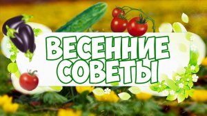 Садоводство весной  Что не стоит забывать в саду и на огороде