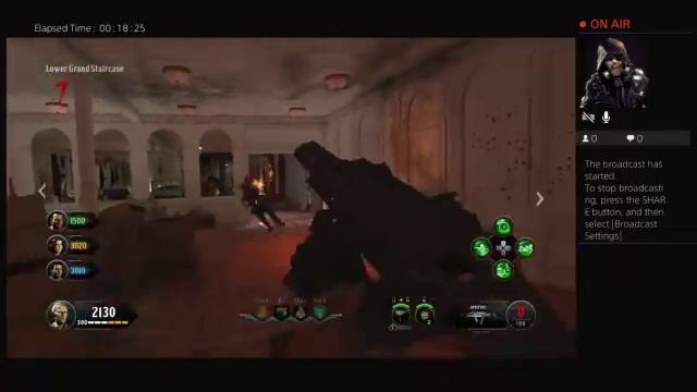 Black ops 4 offline zombies and tdm смотреть онлайн