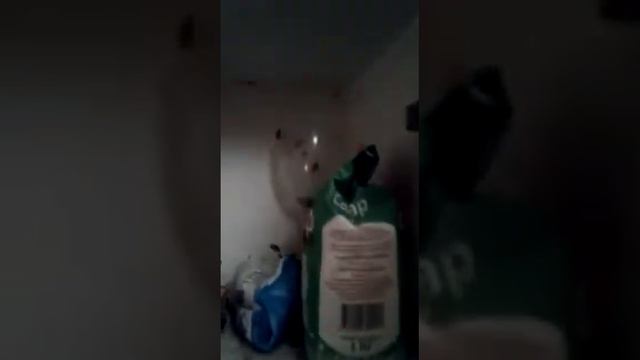 Вот так живет в Москве в центре России моя дочь- инвалид 3 группы. смотреть онлайн
