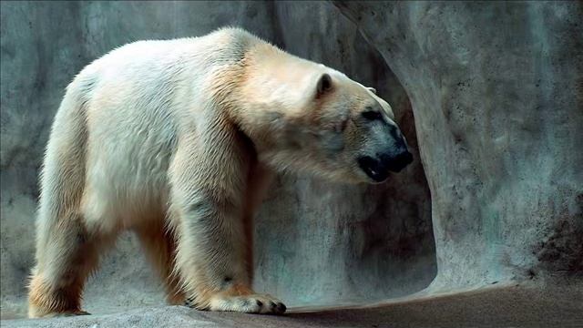 Za 27 Electro Freestyle Mix