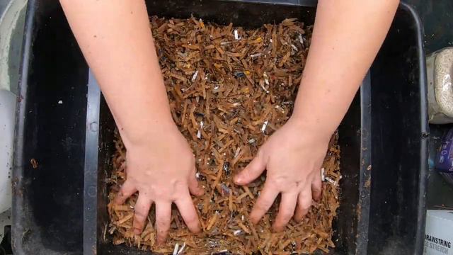 Heal Your Soil - DIY Magic Soil Amendment - Red Wigglers смотреть онлайн