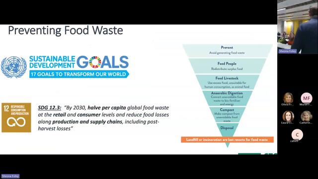 SDG Literacy Faculty Seminar Series - Dr Colum Gibson смотреть онлайн